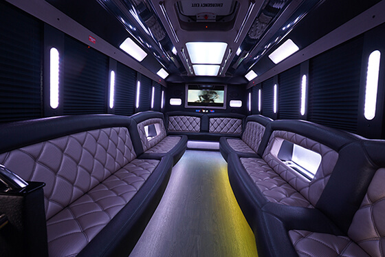 40 passenger party bus